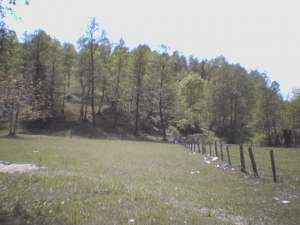 Vand teren 1500 mp Valea Lunga