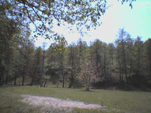 Vand teren 1500 mp Valea Lunga