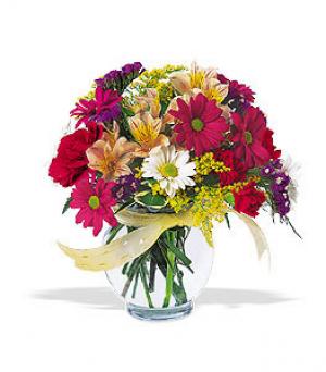 Florarie online!