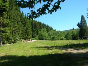teren la munte casa ecologica pastravarie champing