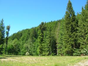 teren la munte casa ecologica pastravarie champing
