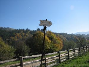 teren la munte casa ecologica pastravarie champing