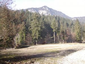 teren la munte casa ecologica pastravarie champing