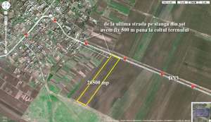 Ileana,  jud Calarasi,  26500 mp la sosea DN3