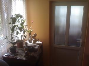 casa de vanzare