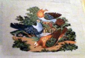 GOBLENURI IEFTINE!!!