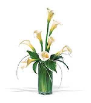 Florarie online!
