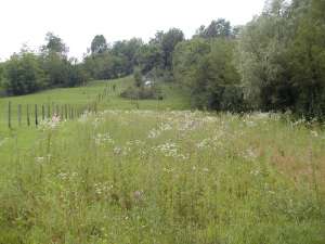 Vand teren intravilan,  4503 mp,  deschidere 24, 9...