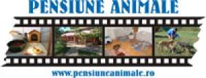 SCOALA DE DRESAJ CANIN,   PENSIUNI CANINE SI FELINE,   CANISA KRIS