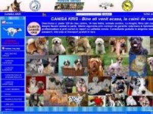 SCOALA DE DRESAJ CANIN,   PENSIUNI CANINE SI FELINE,   CANISA KRIS
