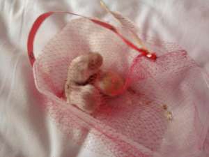 vand puii de hamsteri rasa