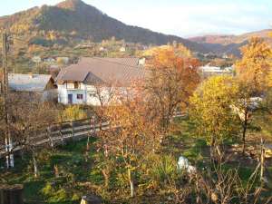 Plevnei vand casa