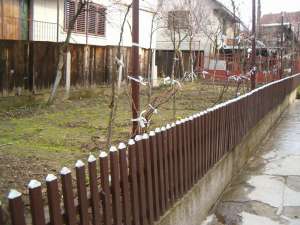 BAIA SPRIE VAND CASA ZONA BUNA