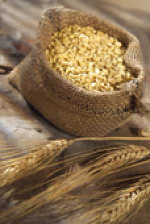 SC CUMPARA CEREALE IN CANTITATI MARI TEL: 0766662842 si 0348401972