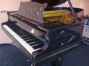 VAND PIAN STEINWAY&SONS RARITATE