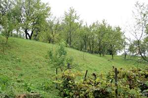 Vand teren Draghici Arges