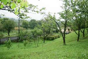 Vand teren Draghici Arges