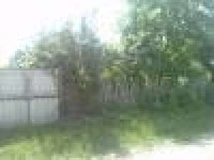 vand casa
