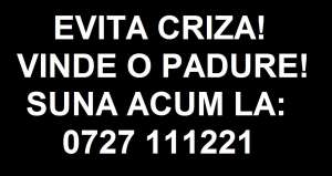 VINDEM FERMA CU 1700HA - 0727111221