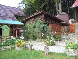 cabana valea avrigului
