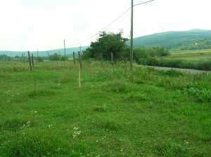 4500 Euro Teren Barnova IAsi,   la asfalt
