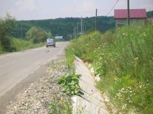 4500 Euro Teren Barnova IAsi,   la asfalt