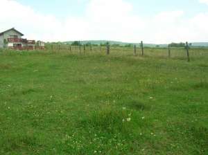 4500 Euro Teren Barnova IAsi,   la asfalt