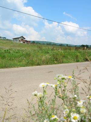 4500 Euro Teren Barnova IAsi,   la asfalt