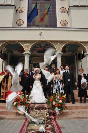 inchiriez porumbei albi in cluj napoca