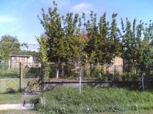 URGENT Casa de vanzare  TITU