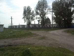 Ferma Craiova