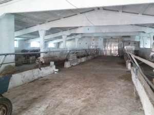 Ferma Craiova