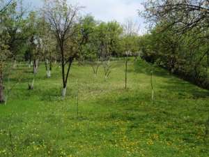 inchiriez teren in galati