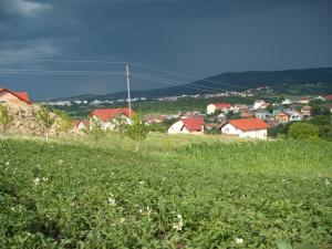 Vand teren intravilan zalau