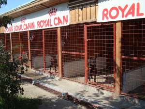 Pensiunea Canina Si Felina Kris