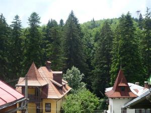 Inchiriere vila - Sinaia