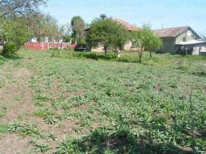 INCHIRIEZ   DEPOZIT  DE LEMNE SI CARBUNE  1000 m2  cu Casa de 83 /m2