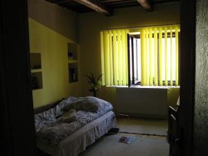 Un colt de rai la Racovita Sibiu