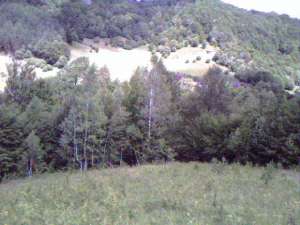 particular vand teren munte statiunea lepsa vrancea