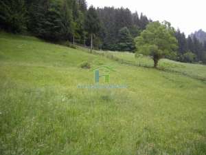 TEREN INTRAVILAN