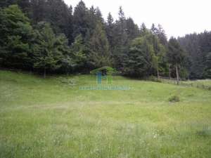 TEREN INTRAVILAN