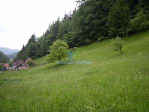 TEREN DE INCHIRIAT