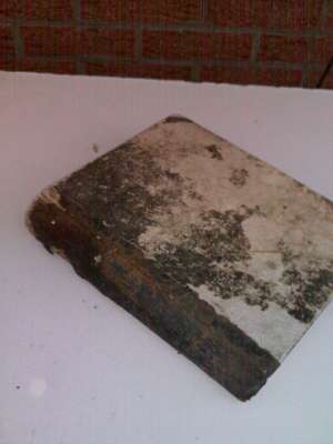 Vand 3 biblie Foarte vechi in LImba germana