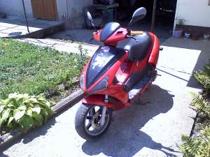 benelli 491 gt