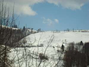 TEREN POIANA MARULUI,          JUD.BRASOV