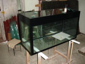 PESTI EXOTICI & ACVARI PLANTE  HRANA