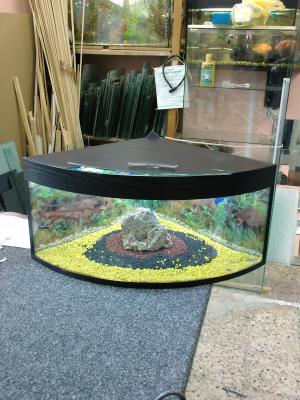 PESTI EXOTICI & ACVARI PLANTE  HRANA