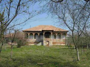 Vand casa conac