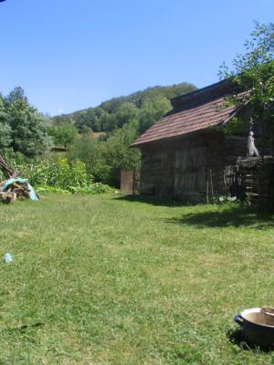 CASA CU TEREN