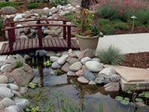 piscine ecologice iazurii  gadgeturi acvaristice